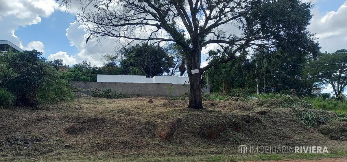 3d9ab18d-69ff-47e8-9683-9f474ba4f8af (Copy)